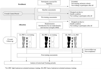 Effects of Power-Oriented Resistance Training With Heavy vs. Light Loads on Muscle-Tendon Function in Older Adults: A Study Protocol for a Randomized Controlled Trial